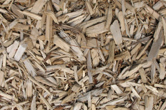 biomass boilers Shierglas