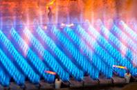 Shierglas gas fired boilers